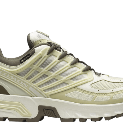 Salomon ACS GORE-TEX Vanilla Ice Green Haze
