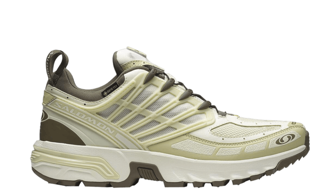 Salomon ACS GORE-TEX Vanilla Ice Green Haze